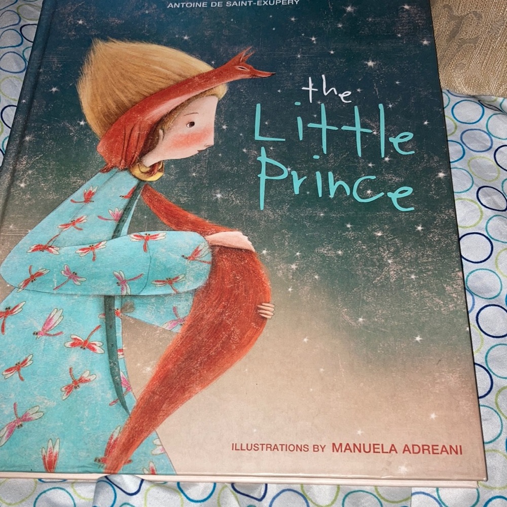 Illustrated Copy of the Little Prince